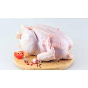 

TERMURAH AYAM KARKAS UTUH 1KG FROZEN COD BAYAR DITEMPAT