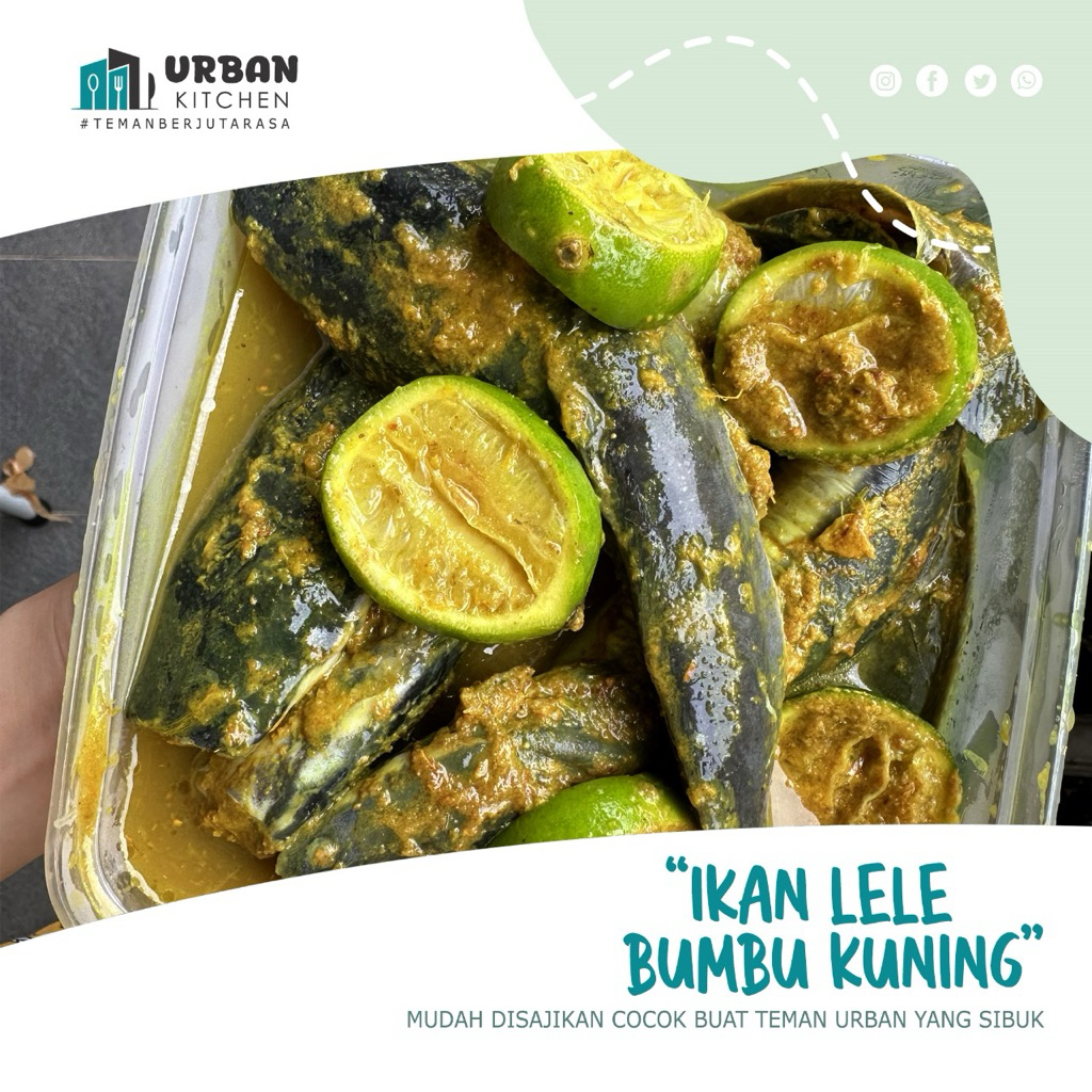 

Ikan Lele Marinasi Bumbu Kuning Fresh 4-5 ekor 500g