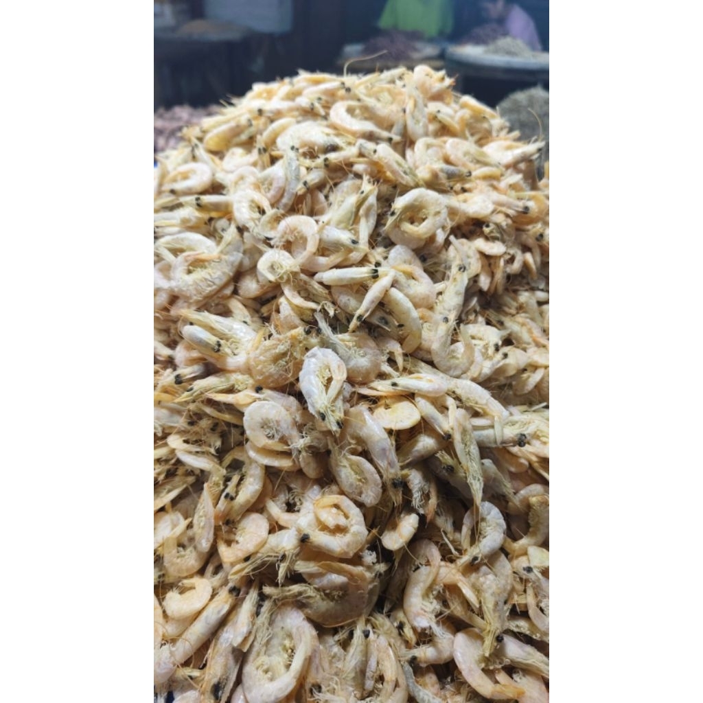 

udang asin medan