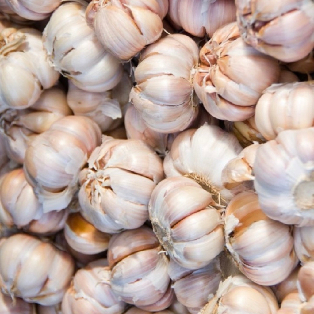 

Bawang Putih 1 KG Kualitas Super