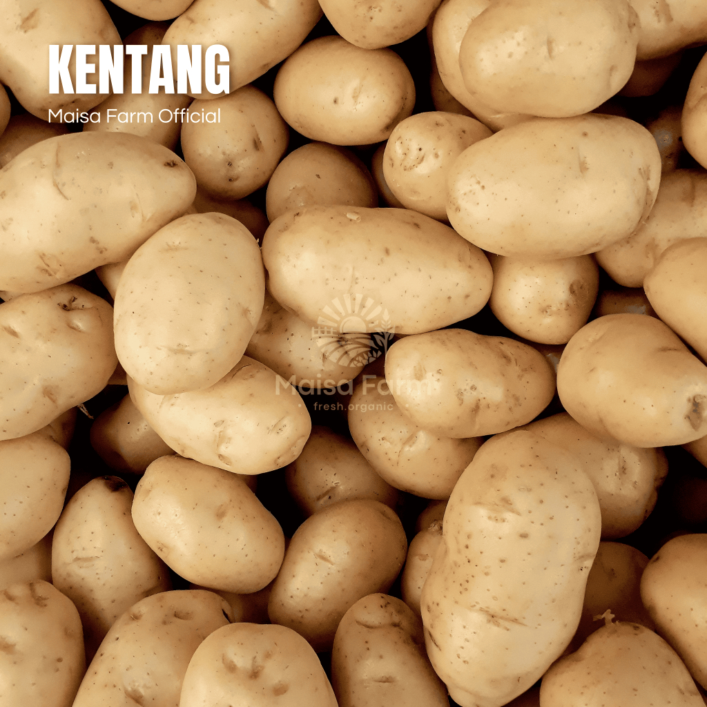 

Maisa Farm Cikarang - Kentang 500 gram segar