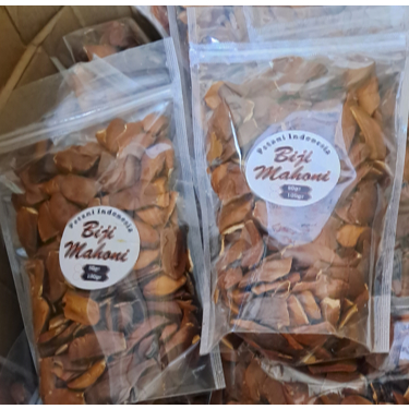 

Biji buah mahoni asli 100% buah moni atasi kolesterol tekanan darah dll