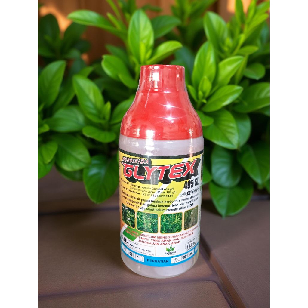 Glytex 495 SL herbisida pembasmi gulma