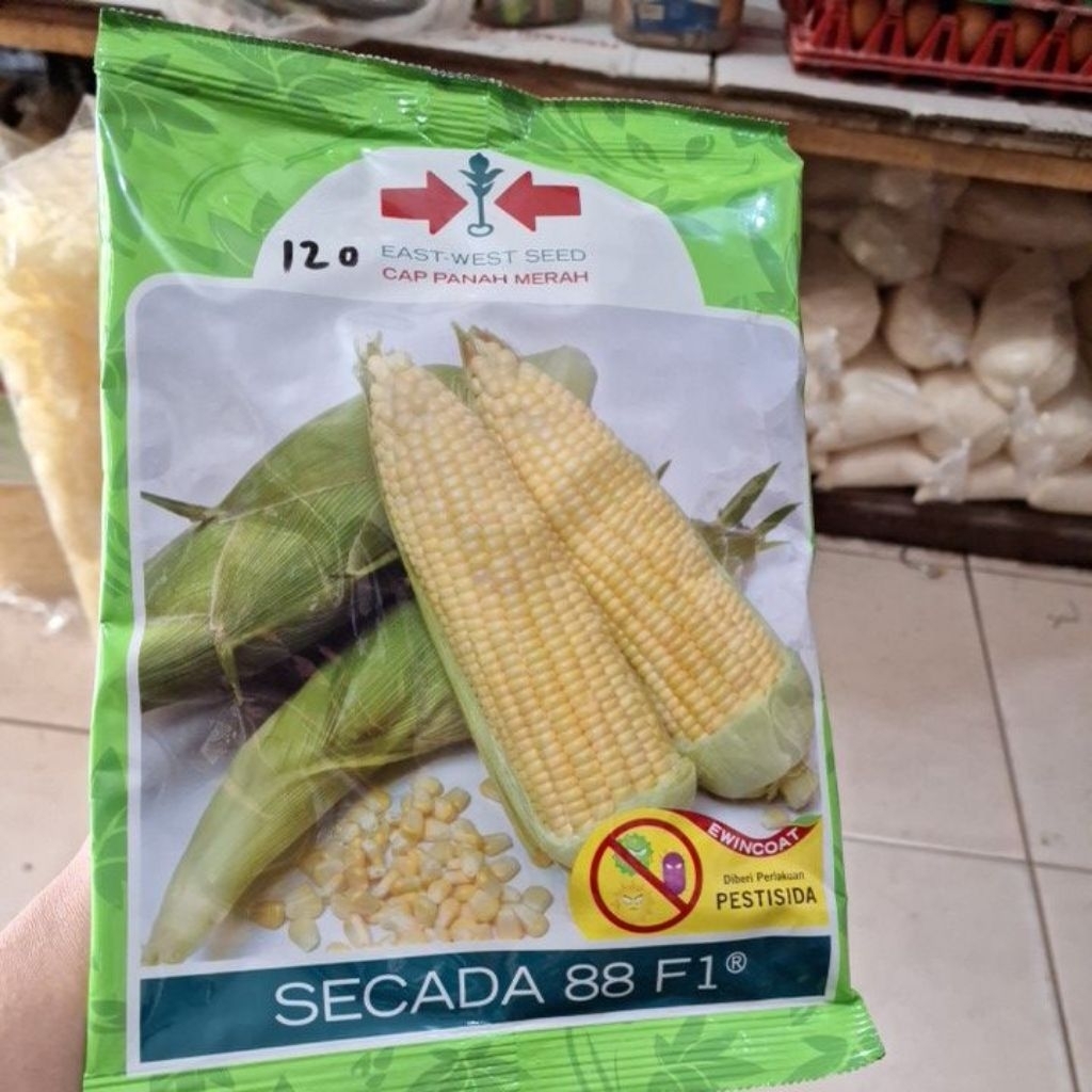 Benih Bibit Jagung Manis Secada 88 F1 isi 1750btr Cap Panah Merah