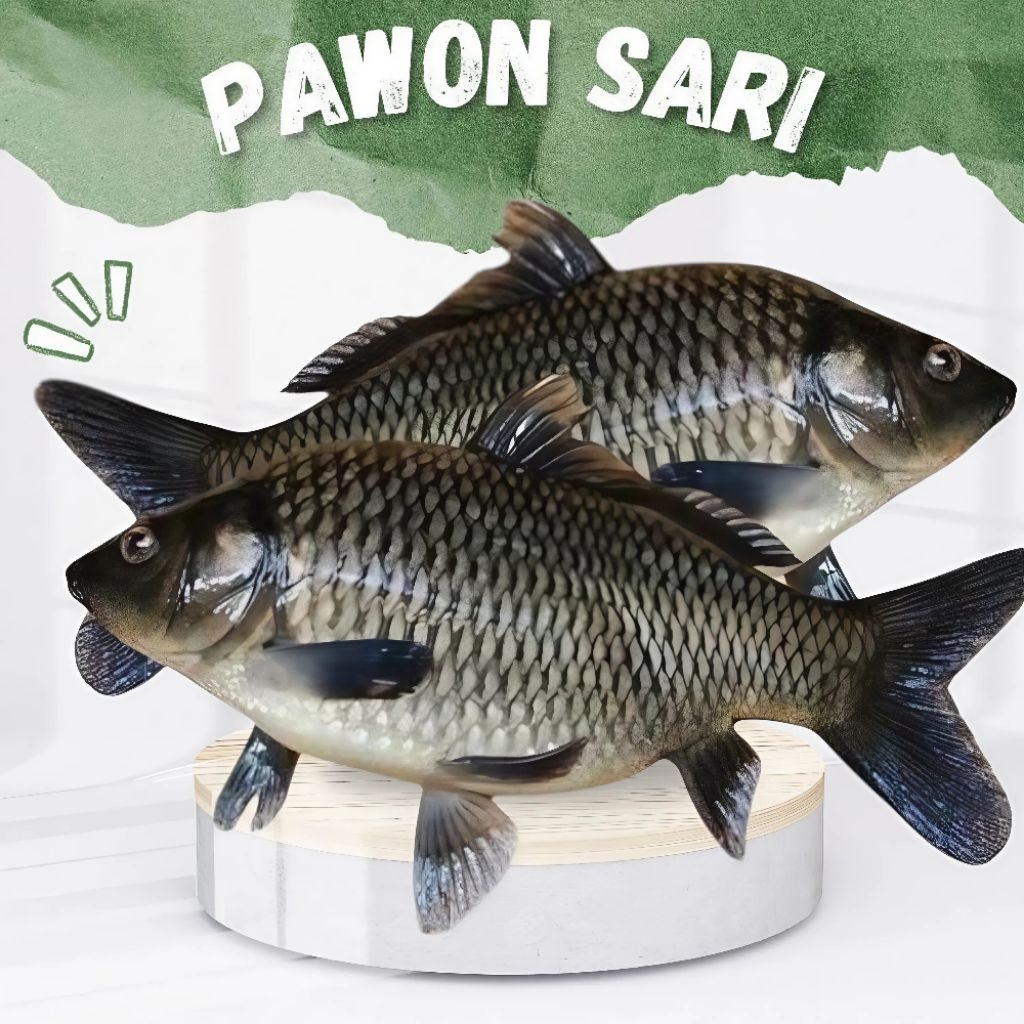 

ikan mas segar 1kg
