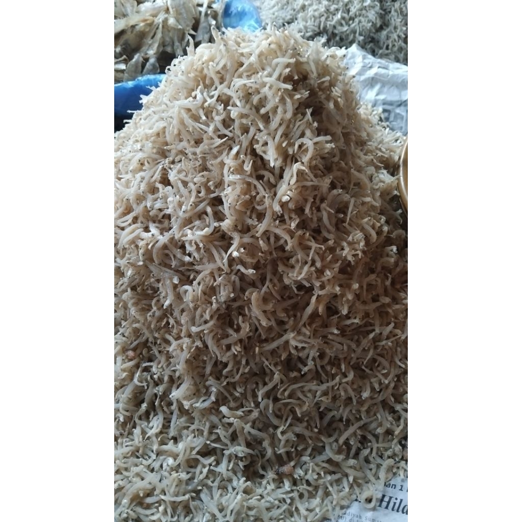 

teri medan
