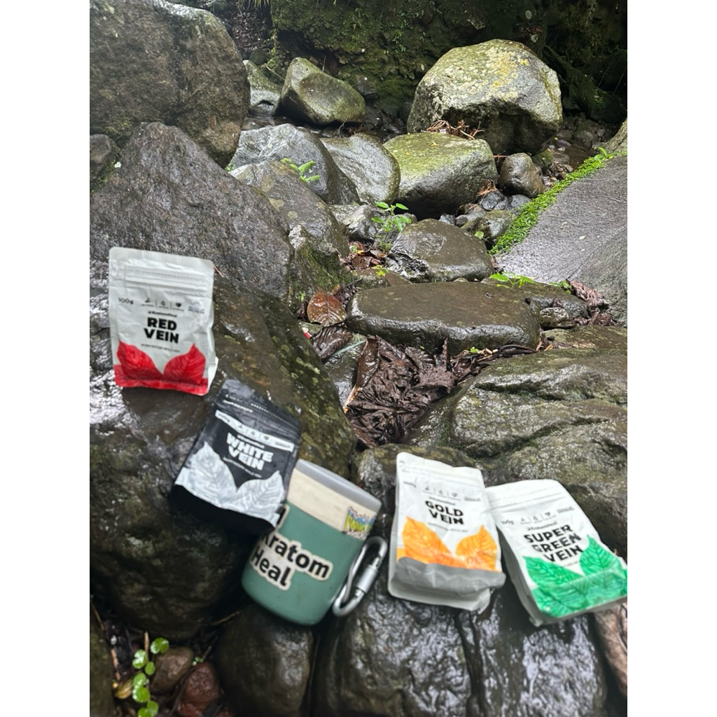 

matcha hutan liar asli buat kita sehat
