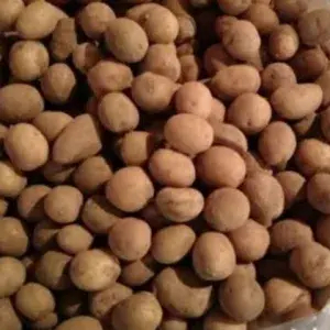 

KENTANG RENDANG 500gram