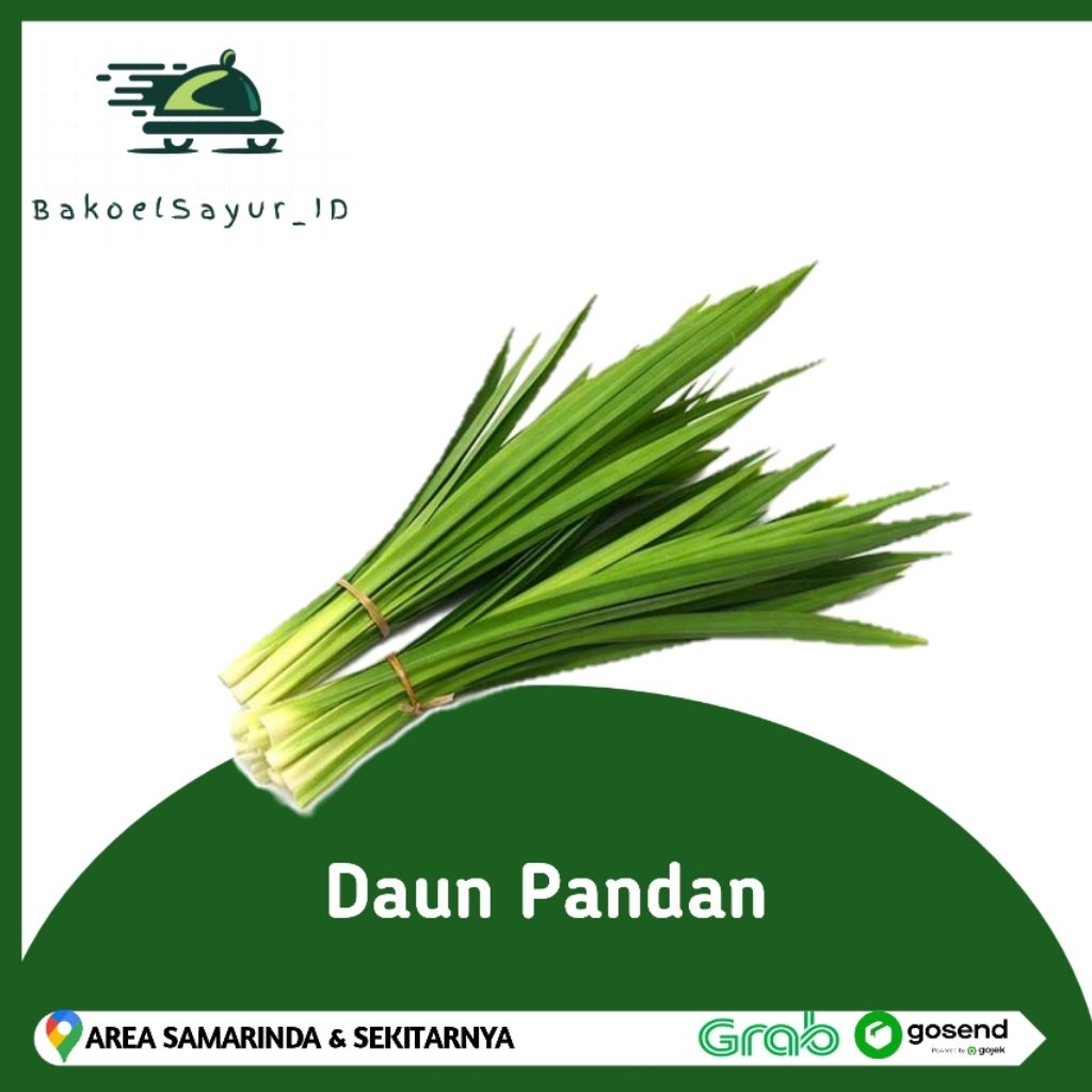 

Daun Pandan 1 Ikat