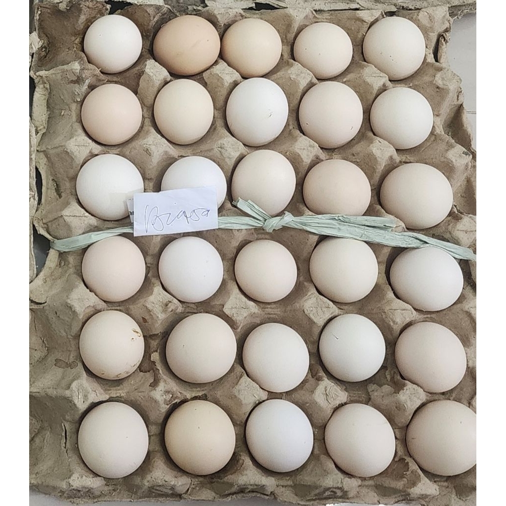 

Telur ayam kampung biasa (1 Tray)