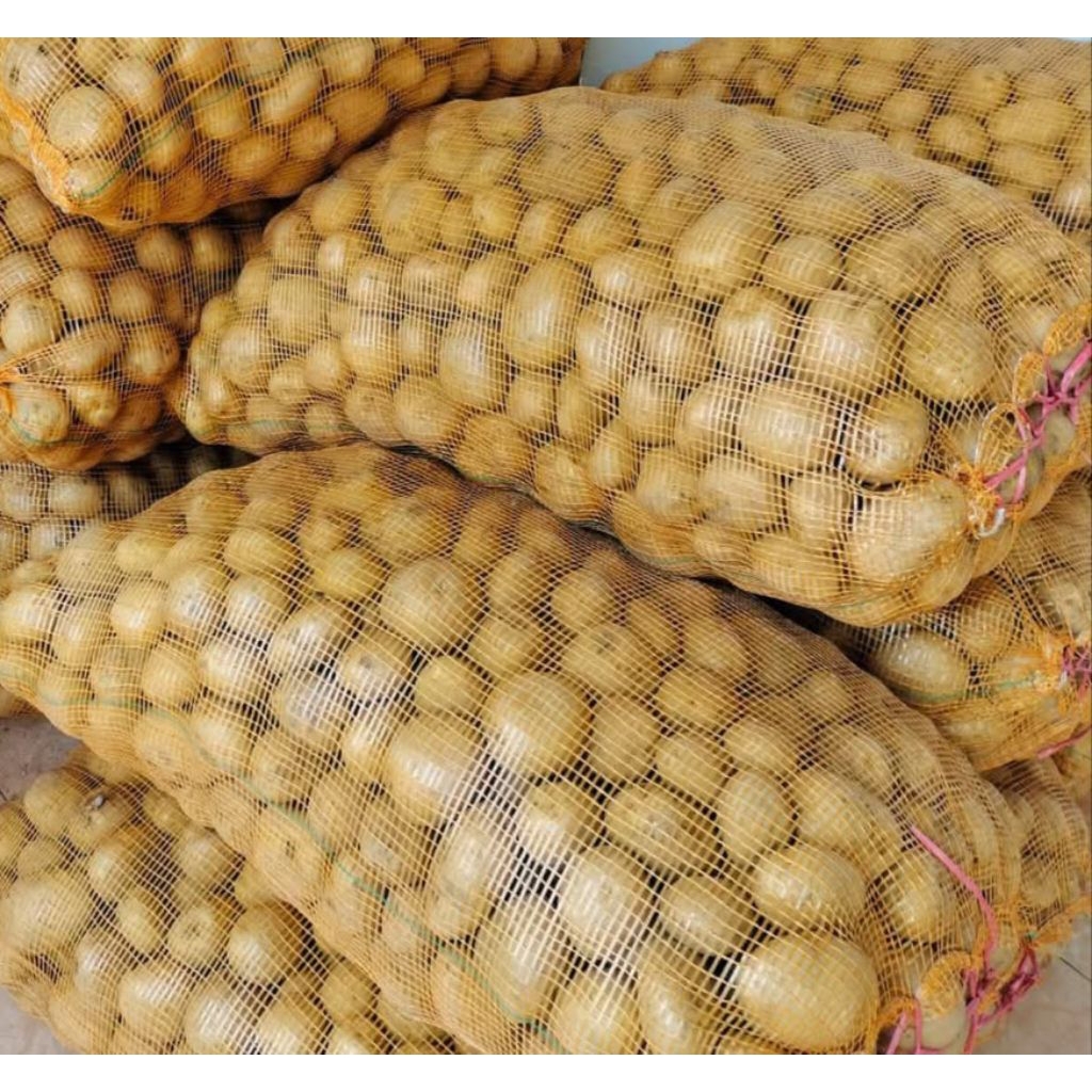 

kentang segar super / kentang dieng ukuran besar 1 kg hasil panen langsung petani