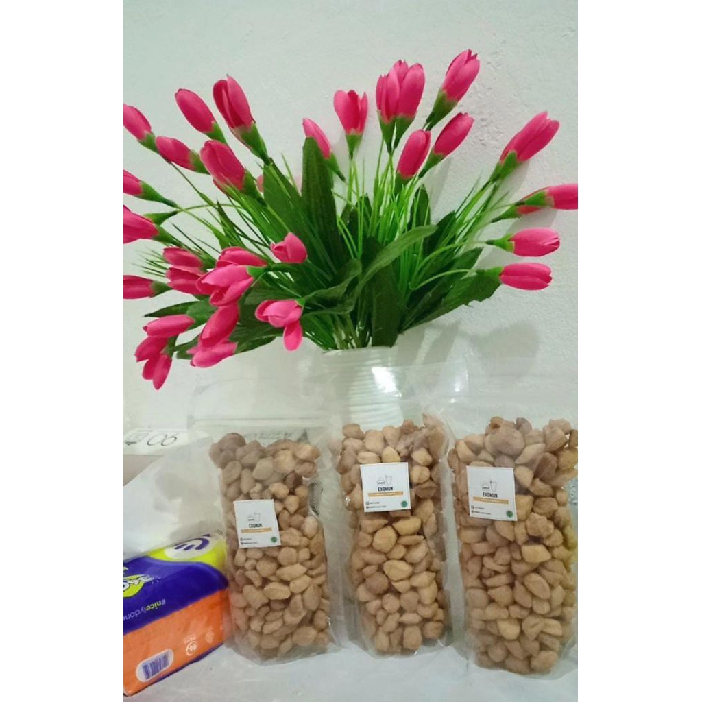 

Biji Ketapang