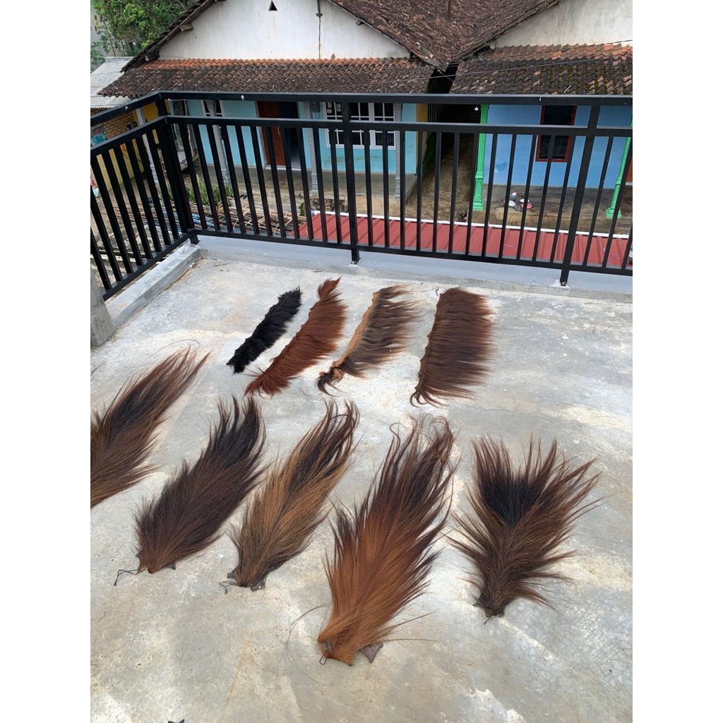 SURI KUDA DAN EKOR KUDA ASLI