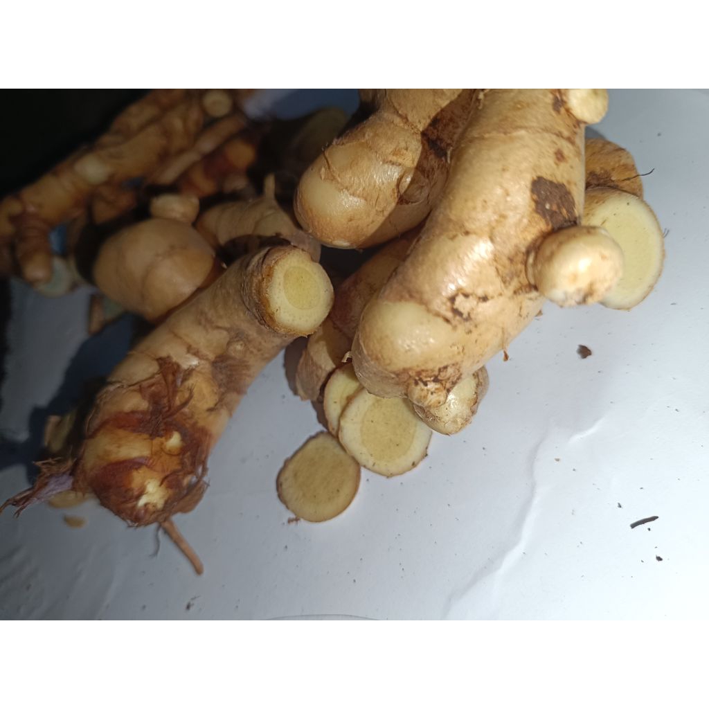 

1 kg kunyit putih/temu putih