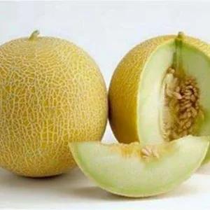

Melon hijau(-+2 kg)