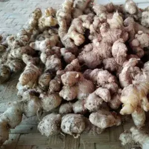 

JAHE LOKAL EMPRIT 500gram