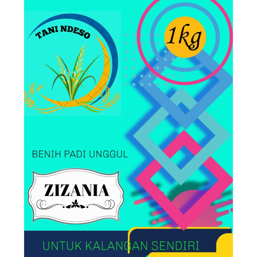 bibit padi ZIZANIA kemasan 1kg,padi aceh hasil memuaskan