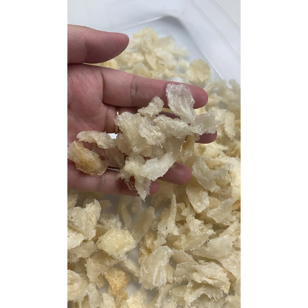 

Sarang Burung Walet Patahan Kaki