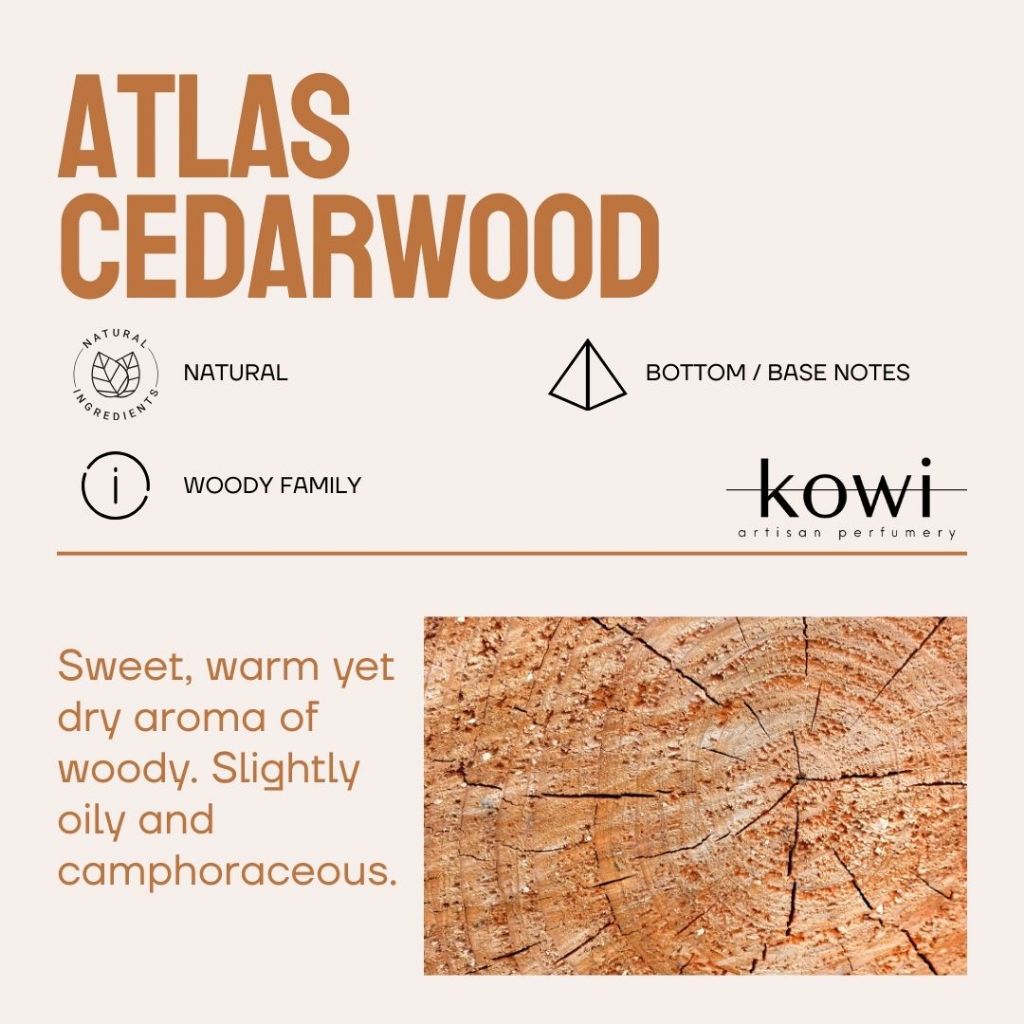 ATLAS CEDARWOOD ESSENTIAL OIL