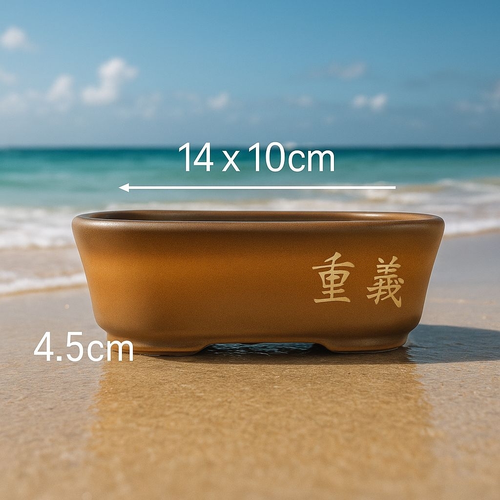 Pot Keramik Bonsai Oval