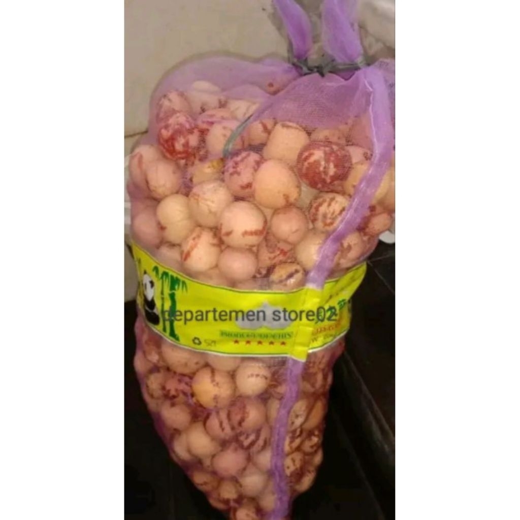 

promo 1 Kg biji alpukat mentega grade campur