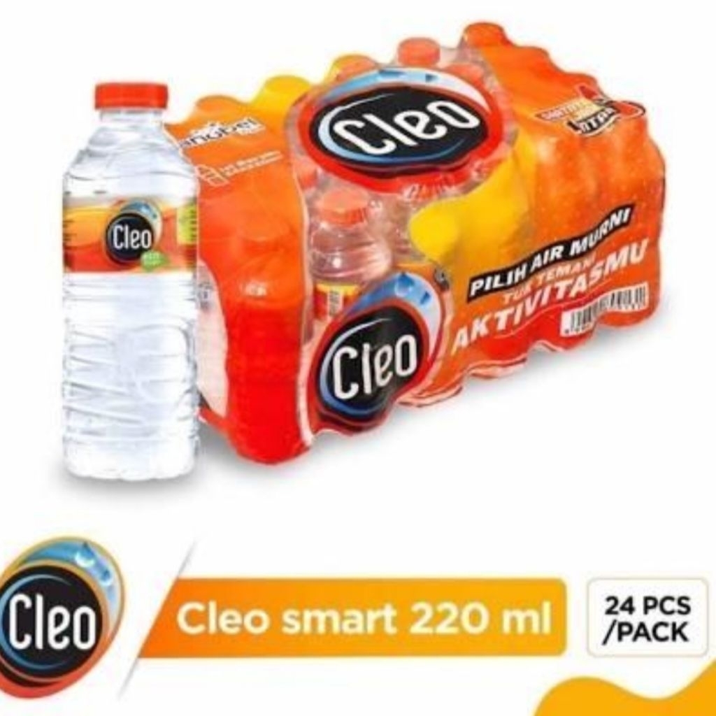 

Cleo Mini Air Mineral 220 ml [ 1 Pack - 24 Btl ]