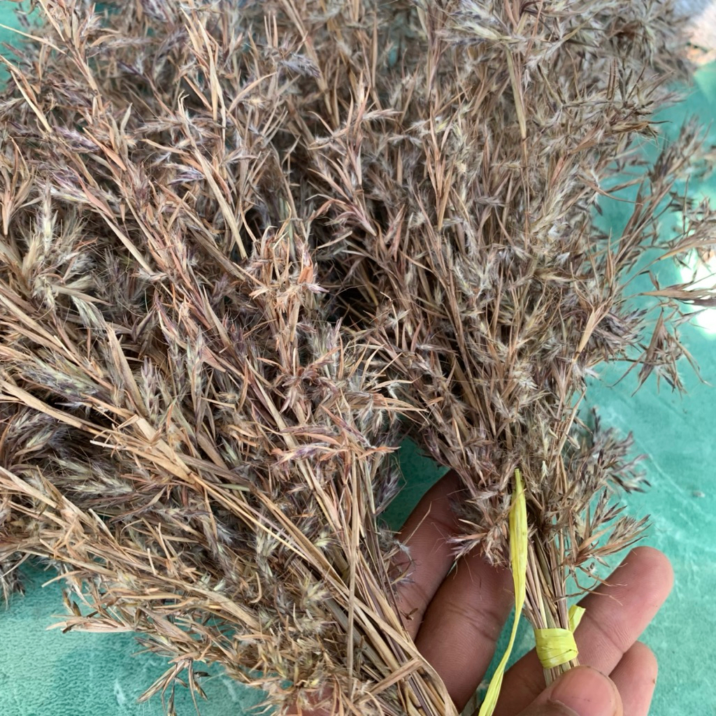 

Bunga sereh kering alami paket per 10 helay.