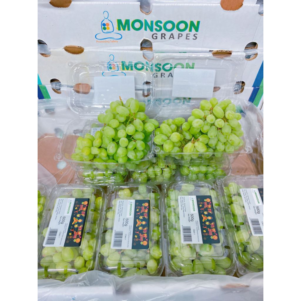 

Buah Anggur Hijau Monsoon Seedless Sortir