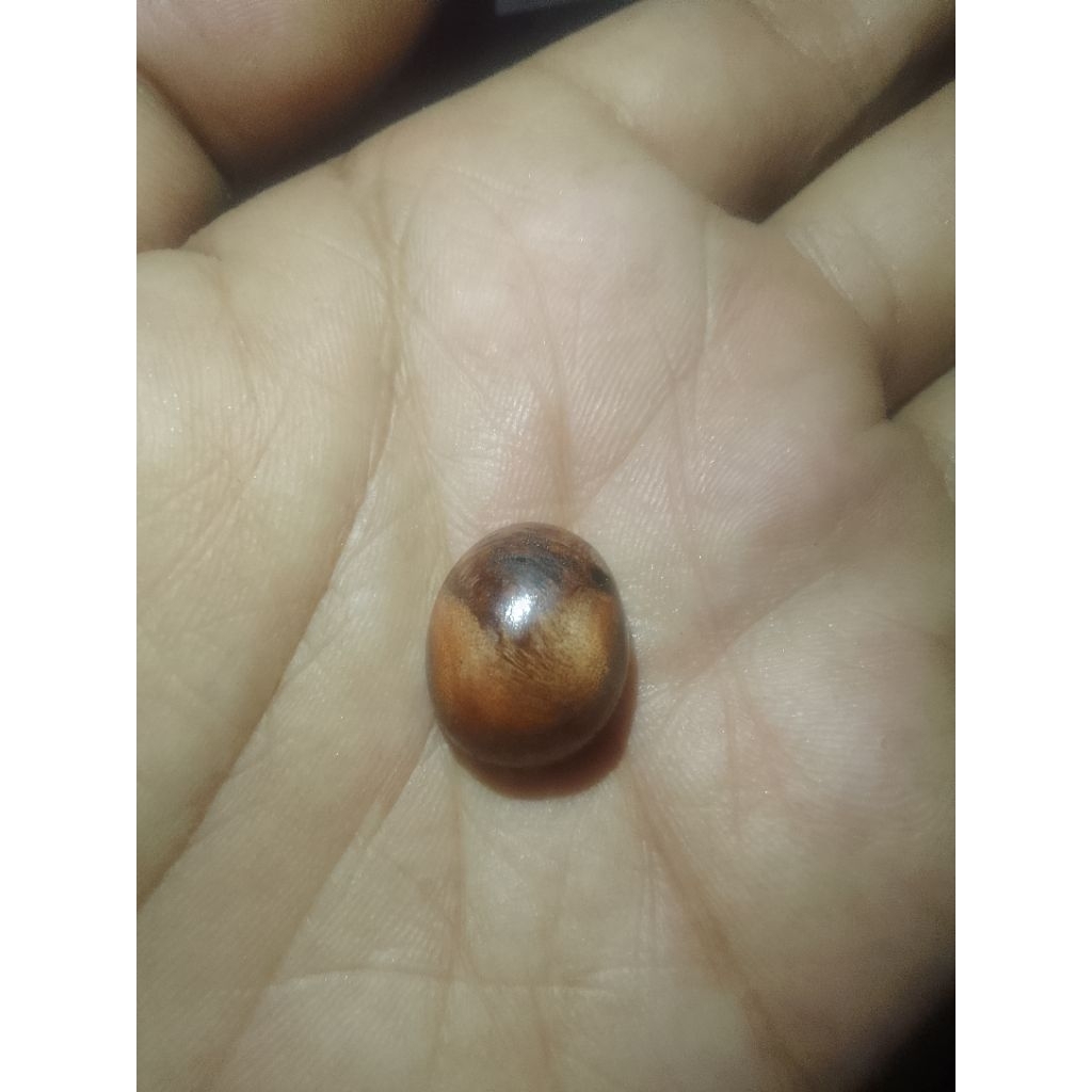 mata cincin galih kayu stigi ngurak