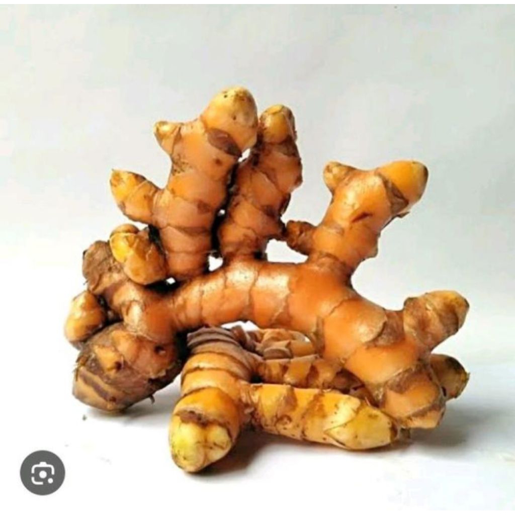 

KUNYIT UTUH SEGAR 1KG