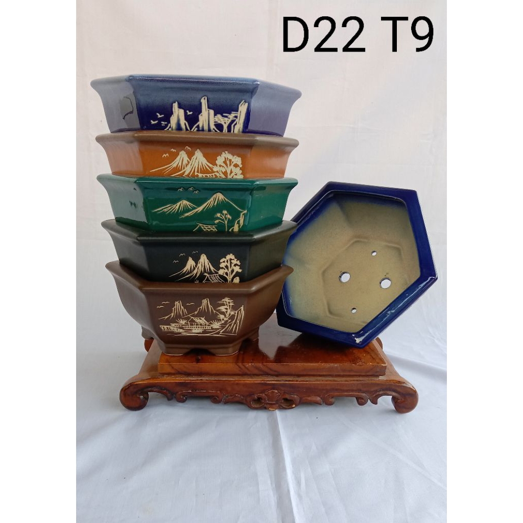 pot bonsai  segi enam