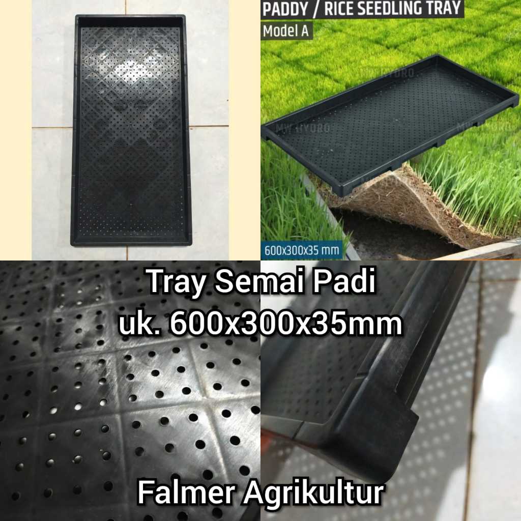 Tray Semai Padi Pot Bibit Pembibitan Padi Rice Seedling Tray Model A
