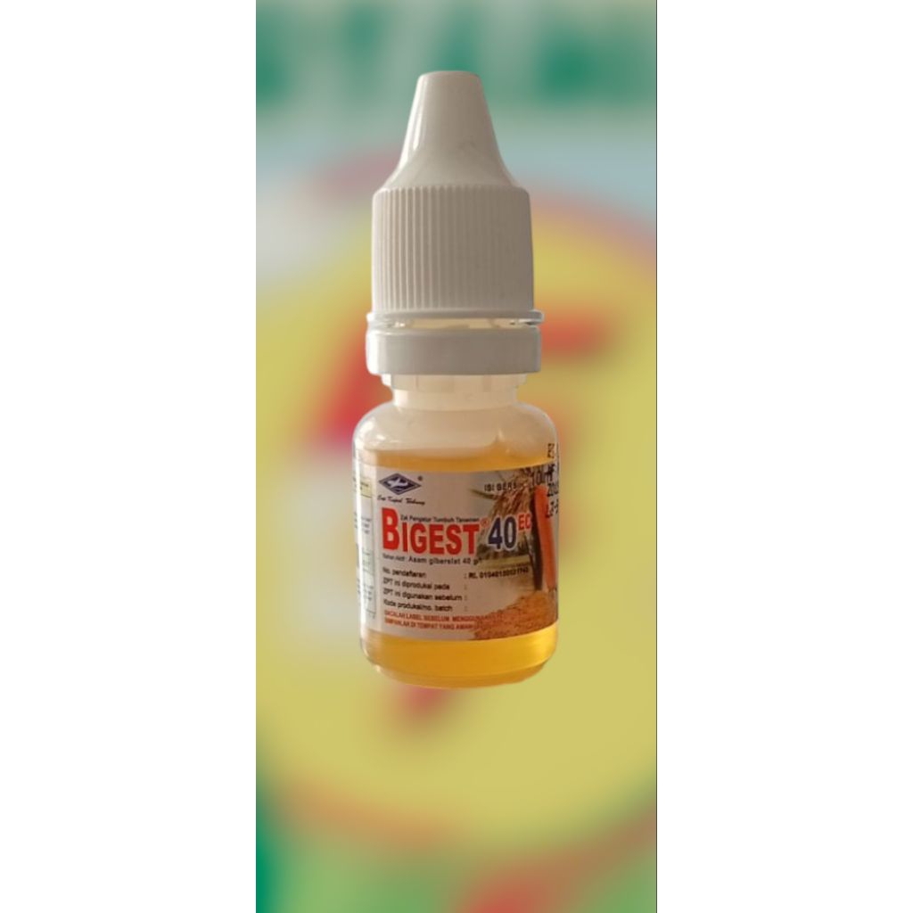 Bigest 40 ec ZPT 10ml