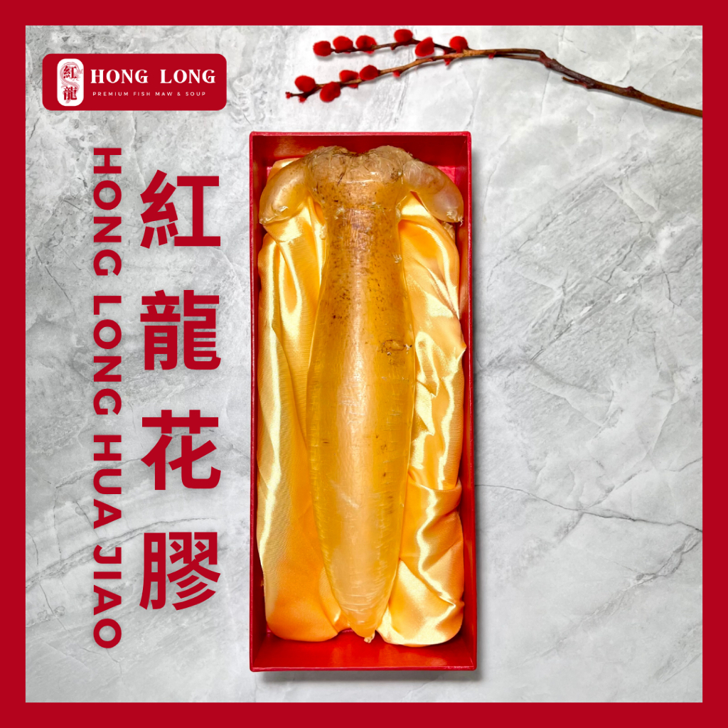 

Hong Long - Premium Fish Maw Kakap Cina Angkui Jantan (魚鰾/花膠) Size 54 Hipio Yiphiau HuaJiao Gelembung Ikan Perut Ikan Kakap Kering Hipiau Grade Super