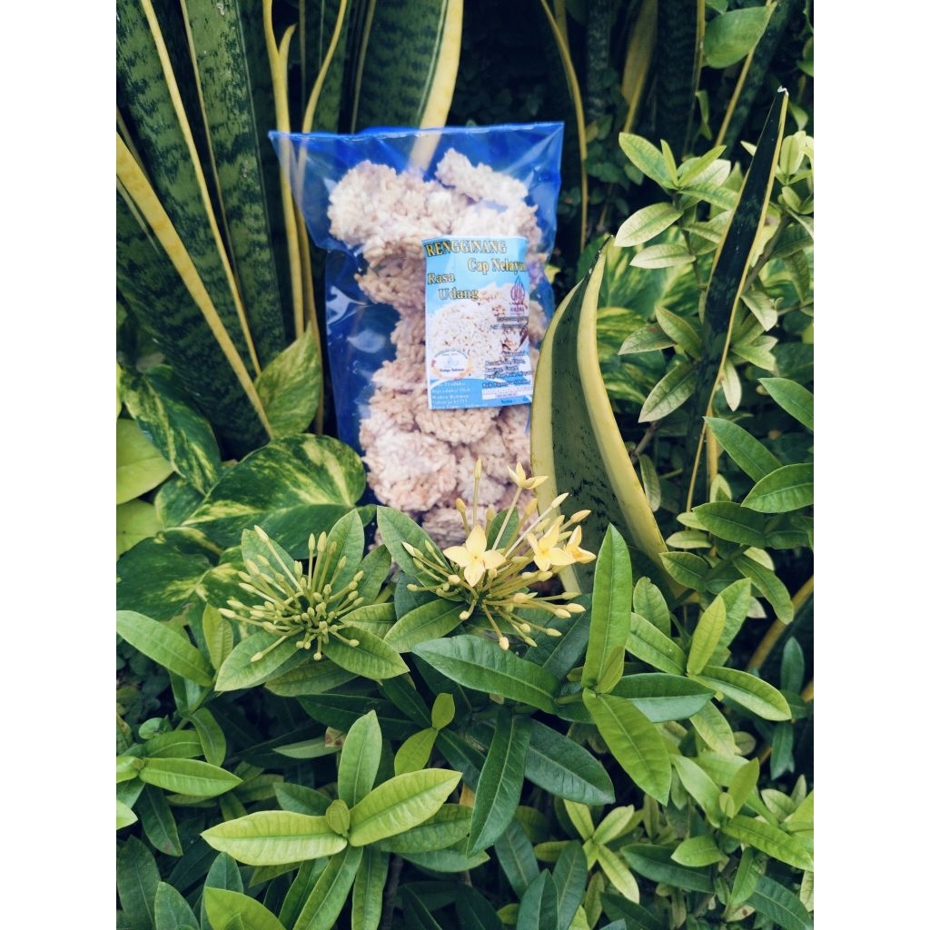 

renginang /krupuk renginang udang-+ 200gr renginang Sidoarjo renginang udang krupuk renginang enak renyah gurih dan nikmat dan halal