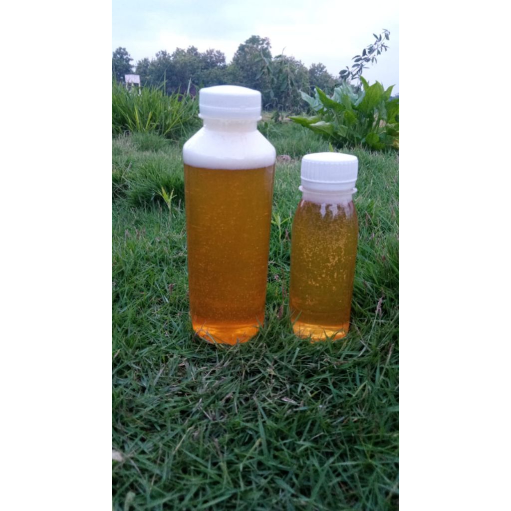 

Madu murni asli dari hutan alami 100 ml