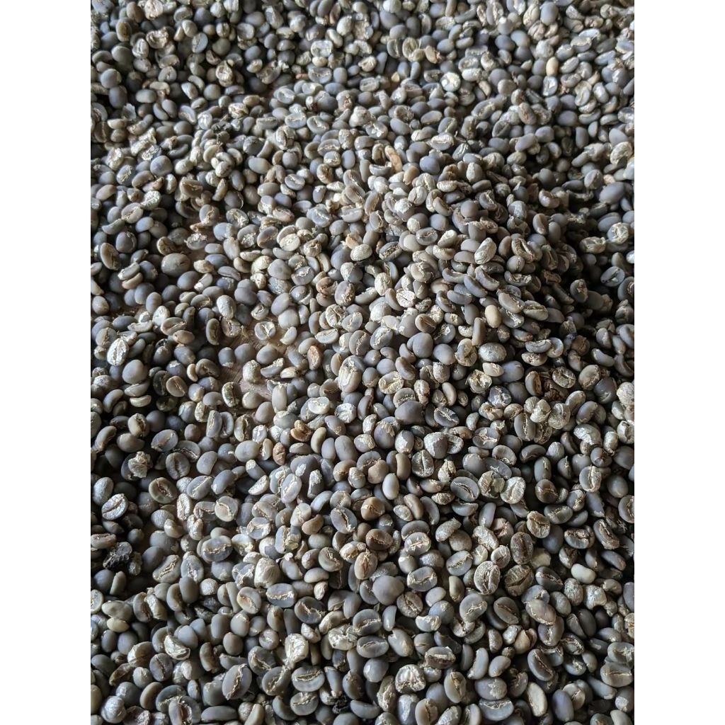 

Greenbean kopi arabica lawu bukan gayo