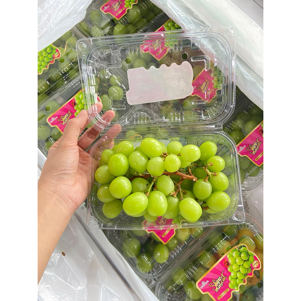 

buah anggur hijau per pack shine muscat import per pack