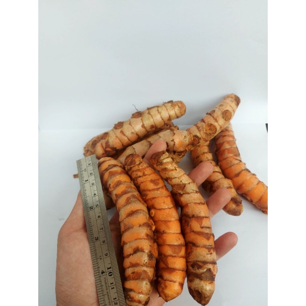 

Kunyit