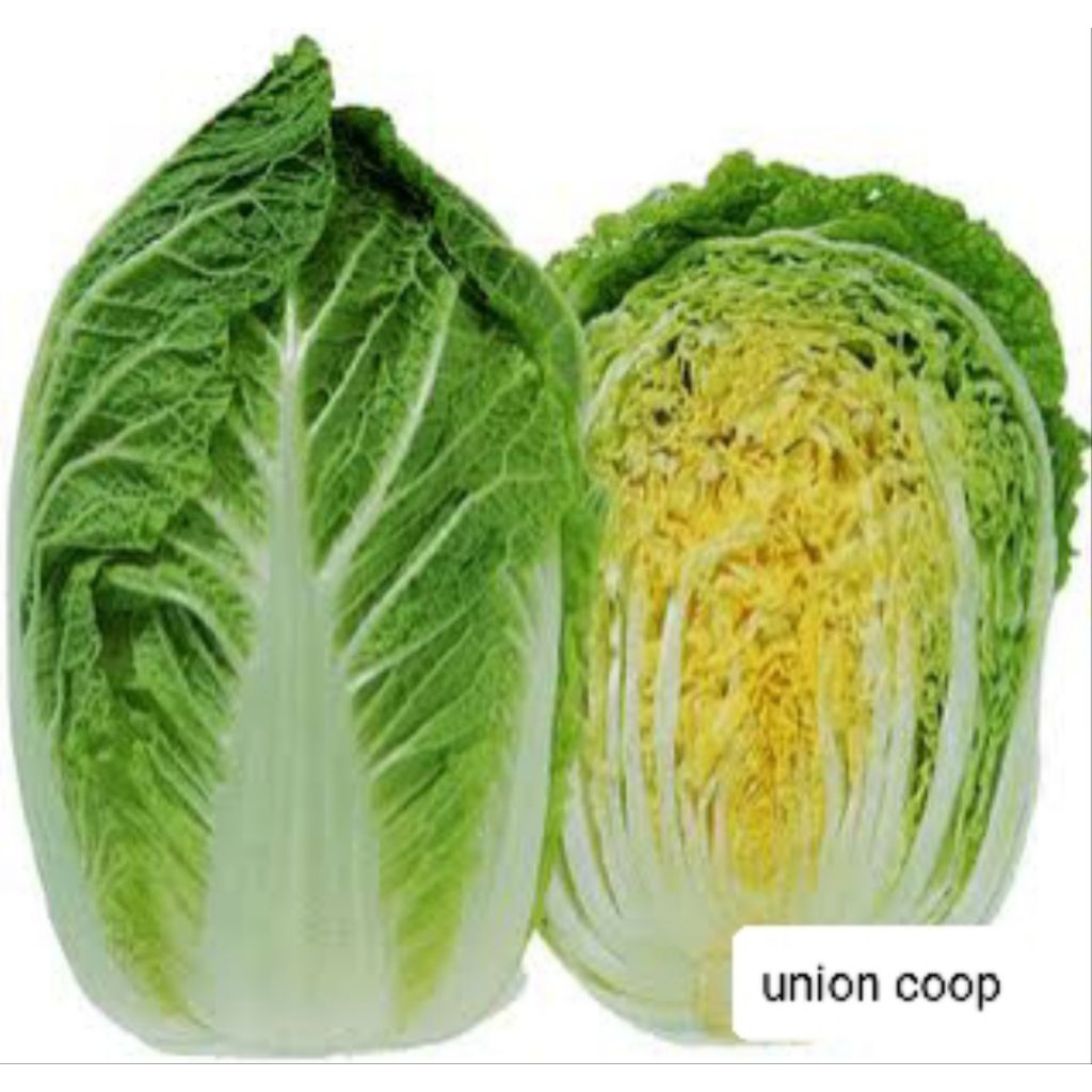 

sampo/pecay segar langsung dari kebun petani 1kg