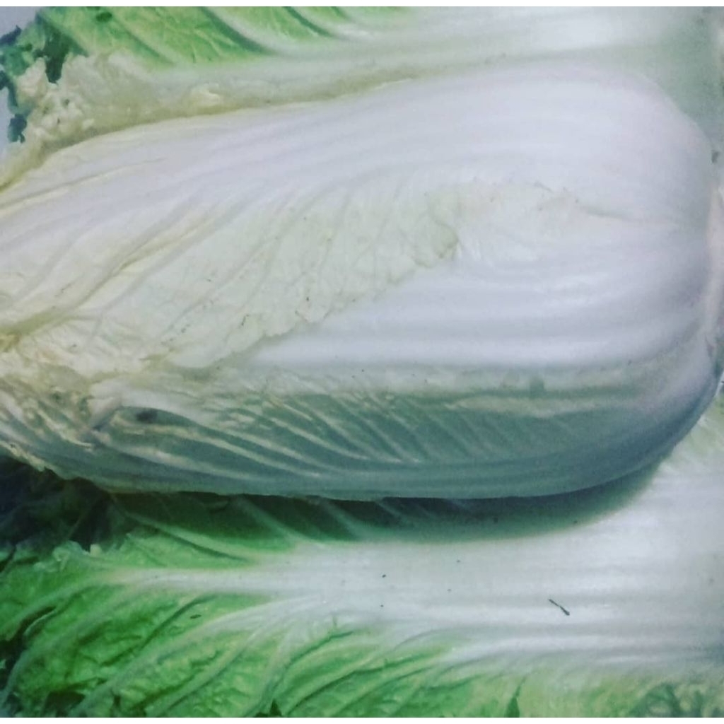 

sawi putih/pecay 500gr