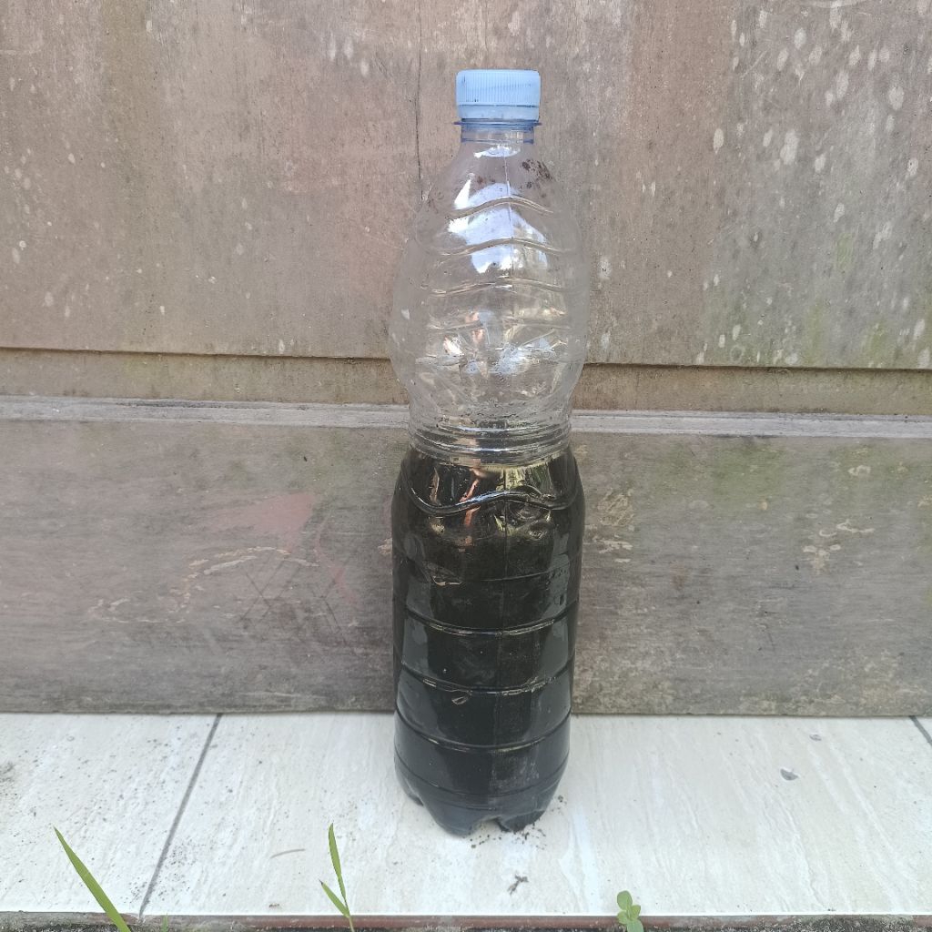 Urine Kelinci Murni tanpa campuran