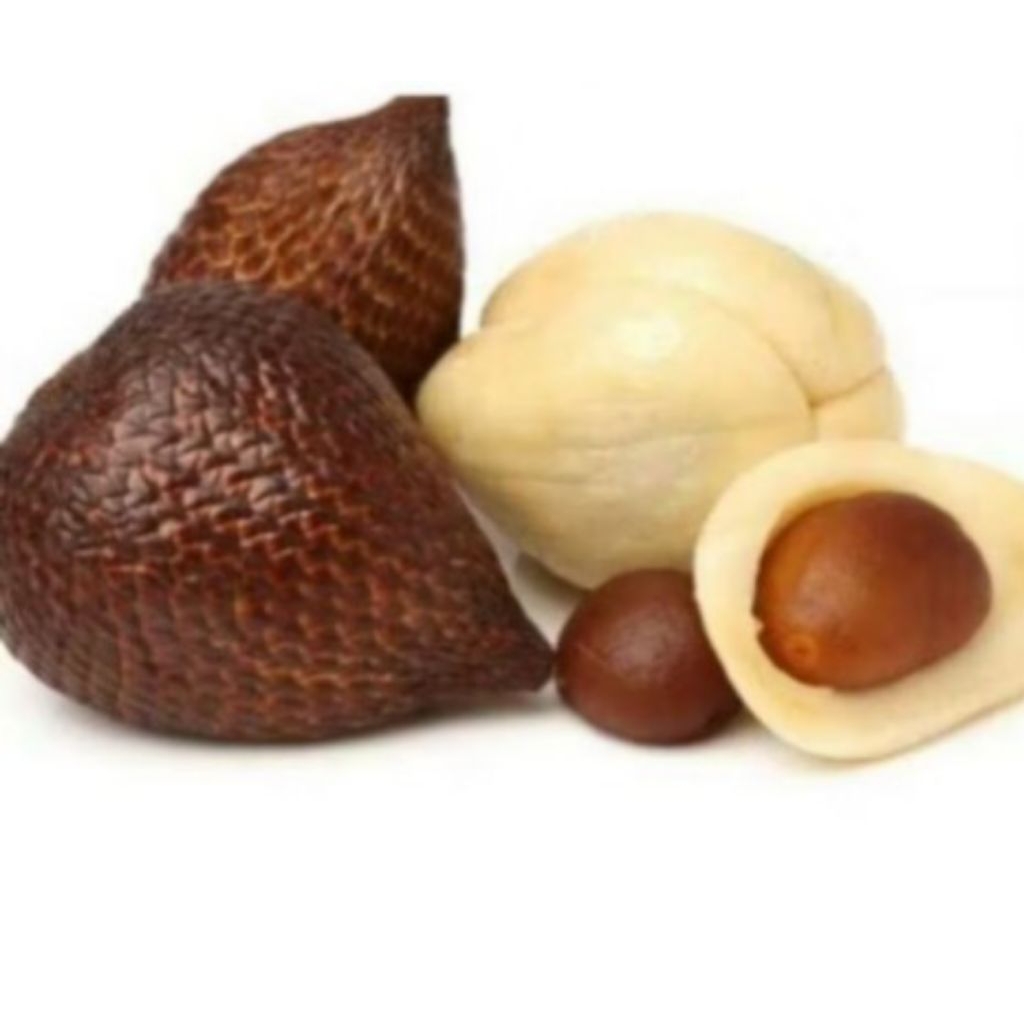 

500 GR SALAK PONDOH SUPER / SALAK PONDOH PILIHAN KUALITAS TERJAMIN