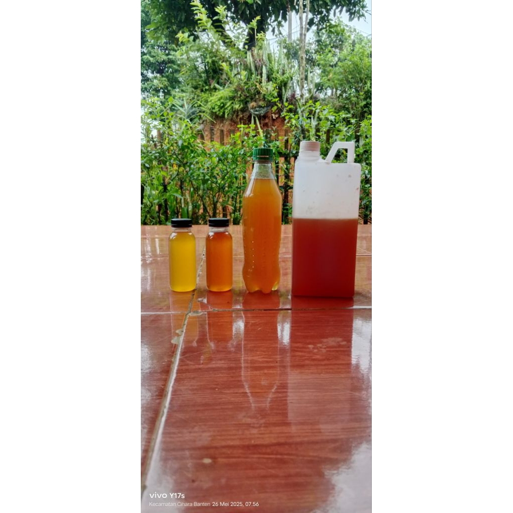 

GULA CAIR AREN/PE'EUT