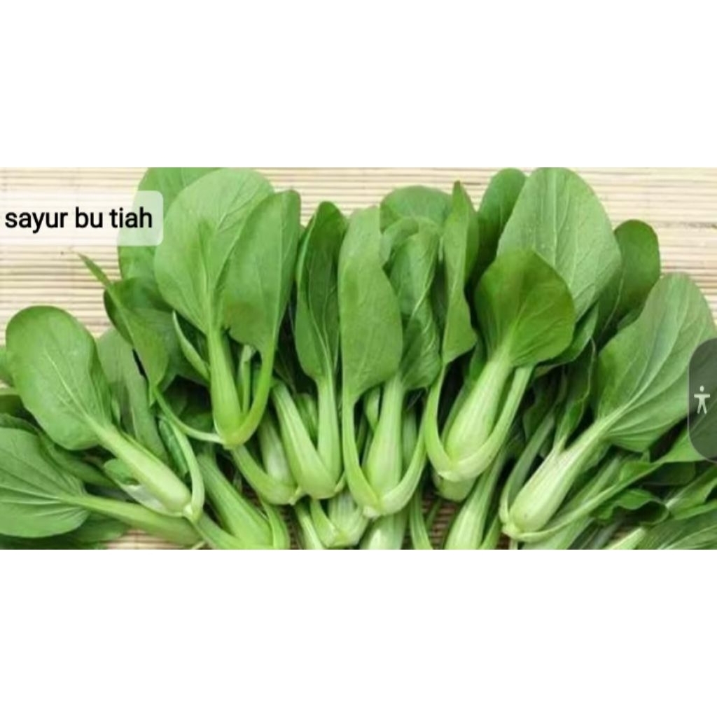 

pa choy