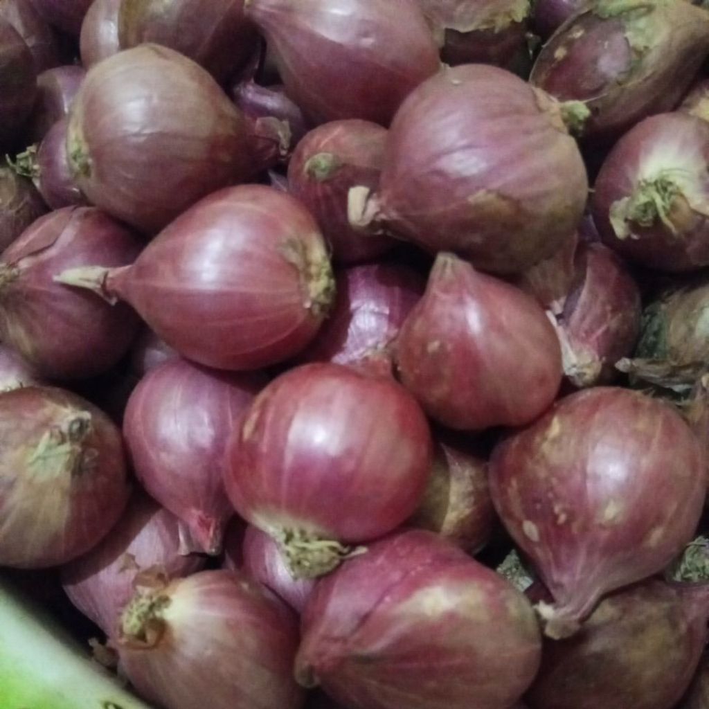

Bawang merah -Bumbu ajib dapur-penambah selera makan