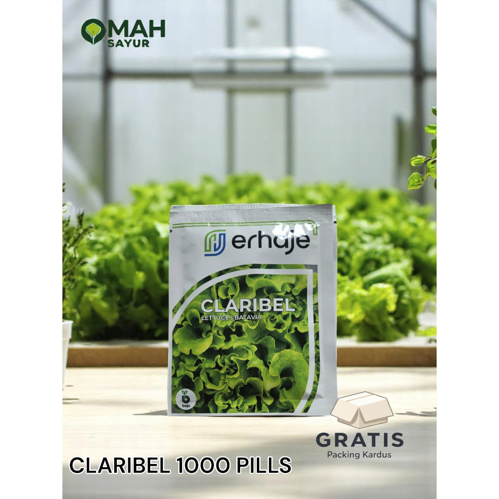 [1000 Pills] Benih Selada Bejo CLARIBEL Benih Lettuce Batavia By Bejo Seeds