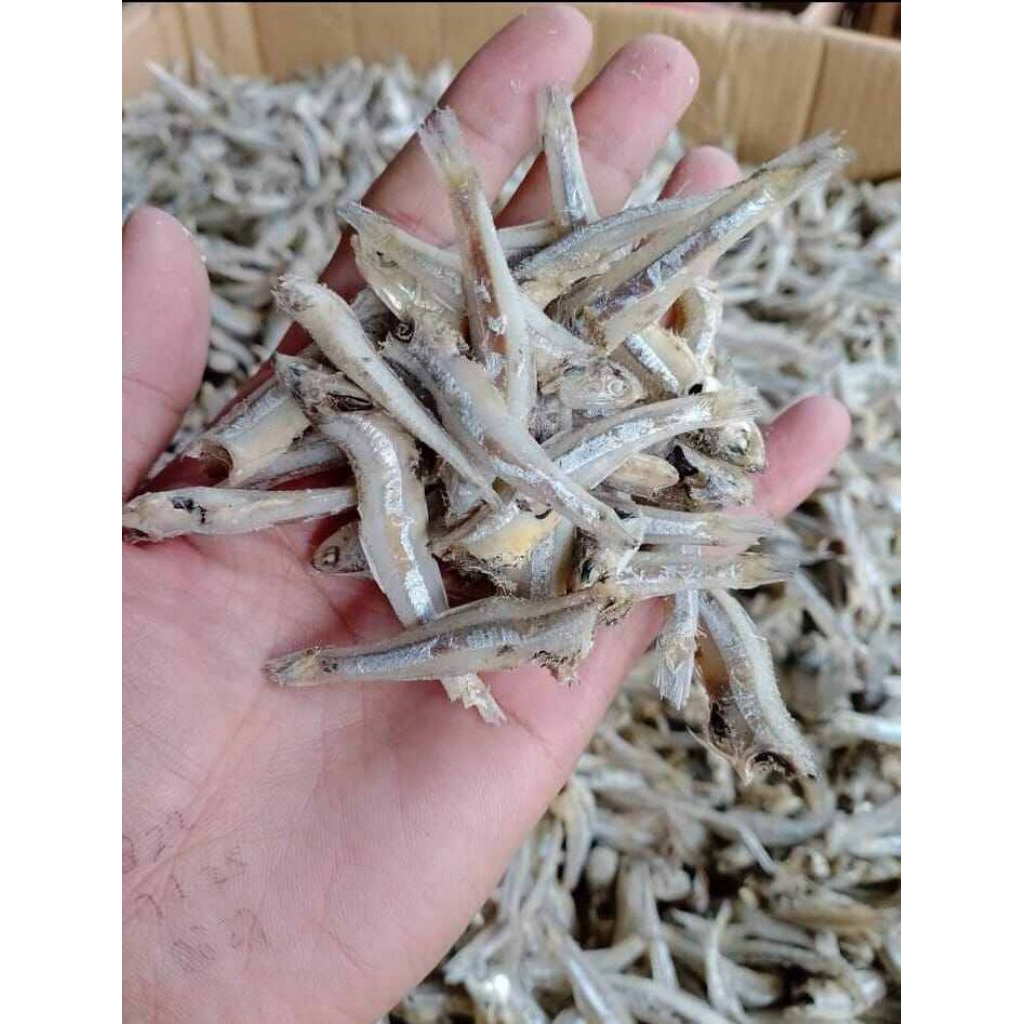 

TERI JENGKI / IKAN TERI JENGKI