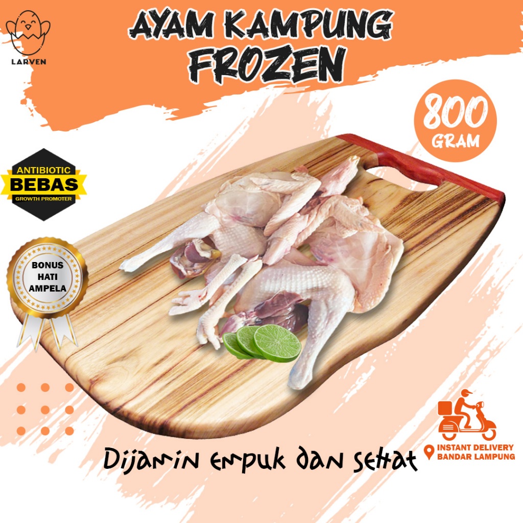 

Ayam Kampung Frozen 800 gram bisa kirim hari ini murah