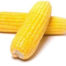 

SEGAR BERSERI - JAGUNG 1PCS